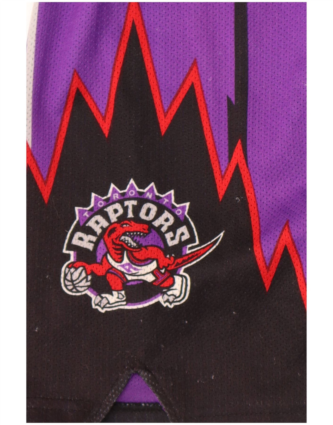 Мужские шорты Champion Mitchell&Ness NBA Los Toronto Raptors, маленькие фиолетовые
