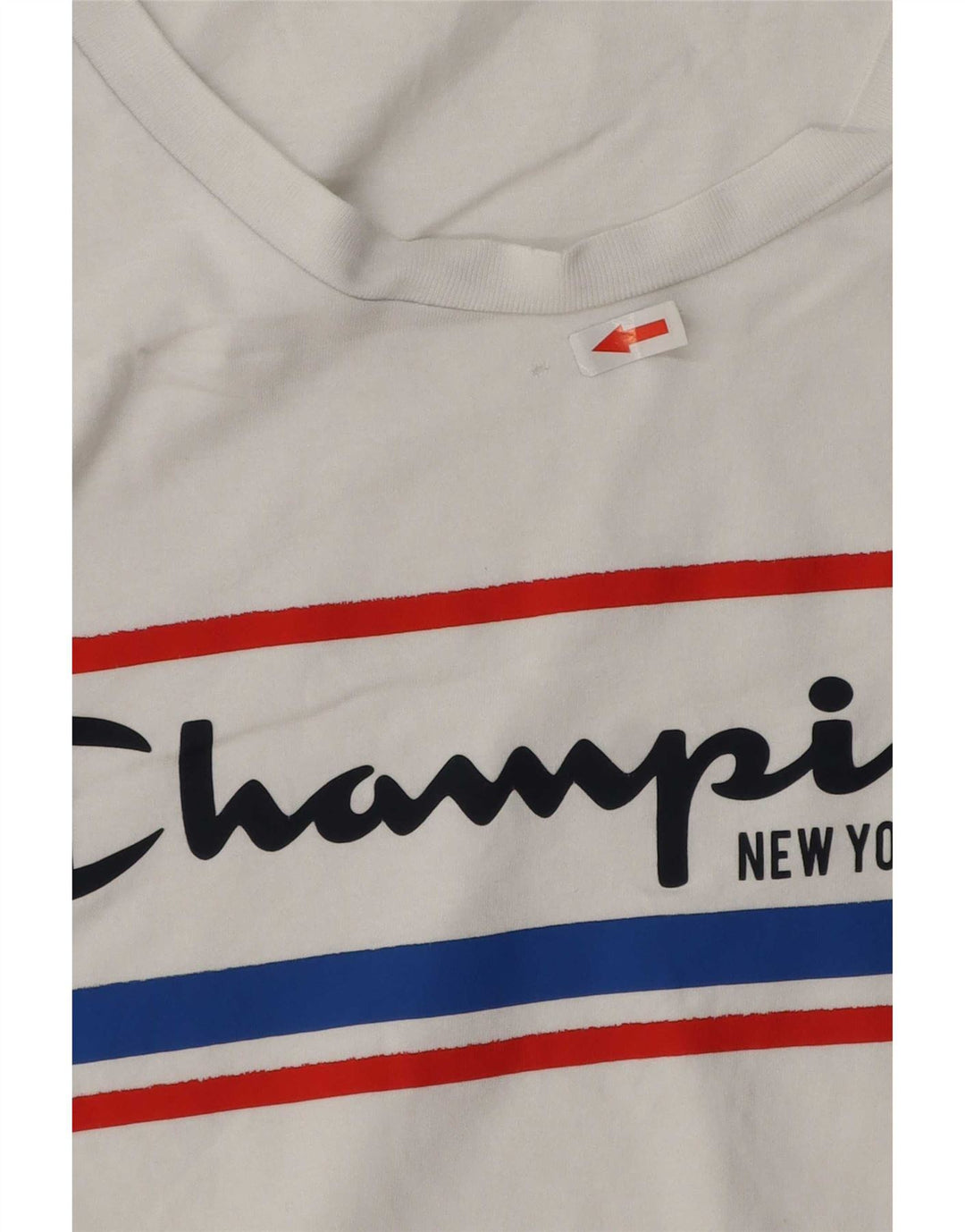 Мужская футболка с рисунком Champion, большая белая