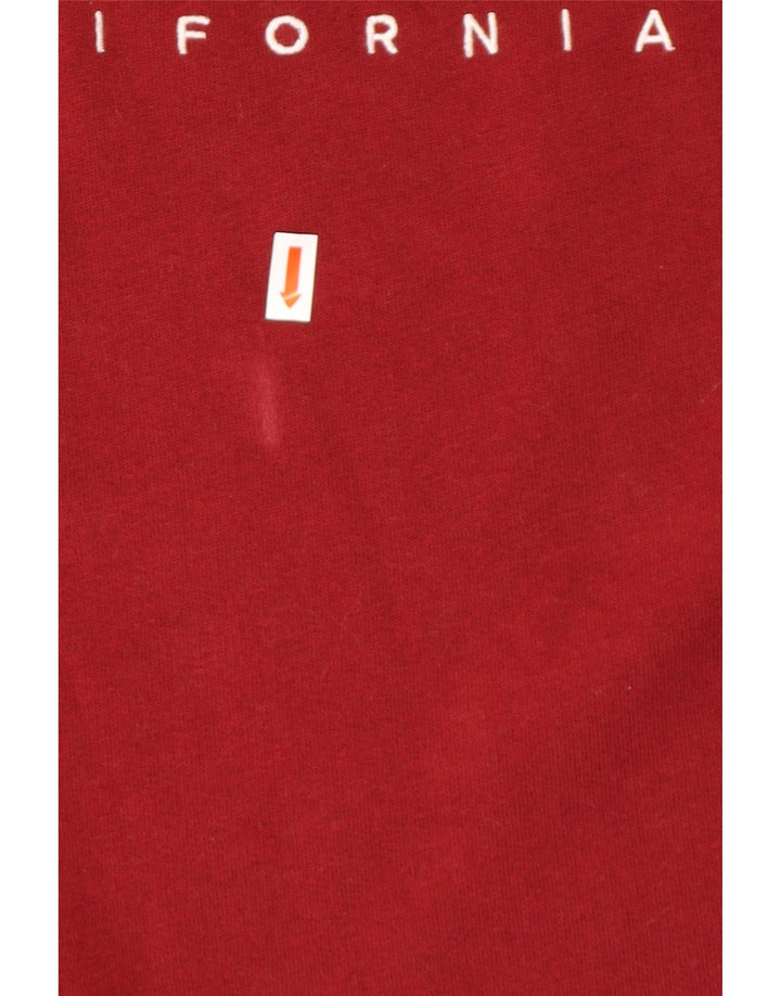 HOLLISTER Мужской свитшот с рисунком, большой бордовый хлопок, хлопок