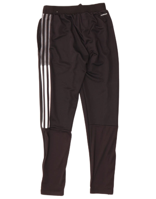Мужские спортивные брюки Adidas Boston Celtics XS, черный полиэстер