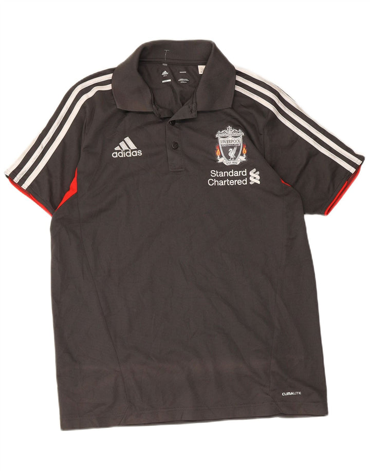 Мужская рубашка поло Adidas Liverpool с графическим рисунком, маленькая серая, полиэстер с цветными блоками