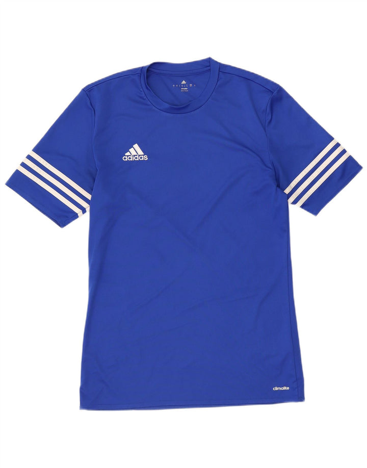 Мужская футболка ADIDAS Climalite, маленький синий полиэстер