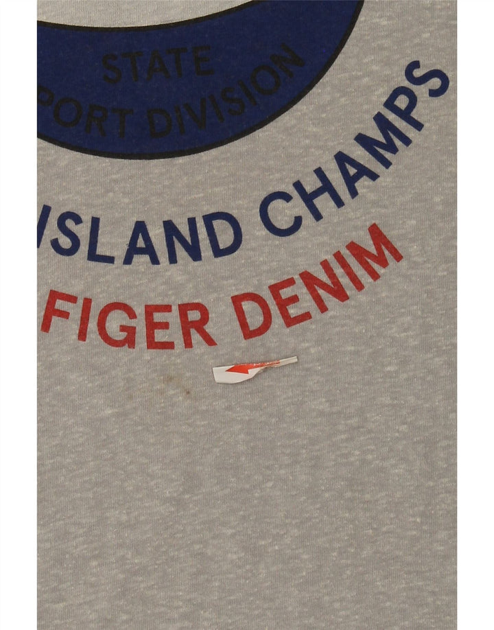 Мужская футболка с рисунком Tommy Hilfiger, большой серый полиэстер с крапинками