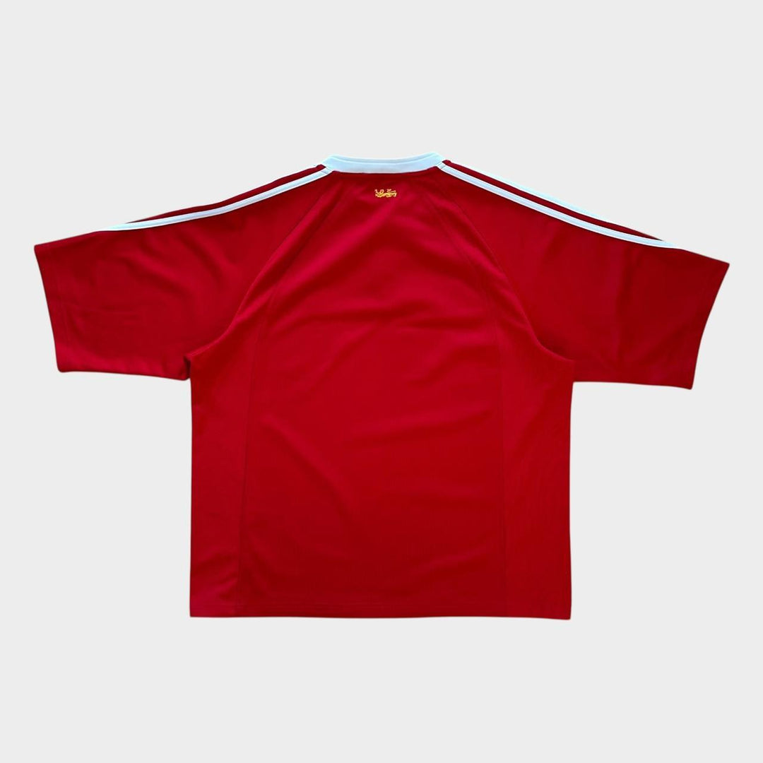 Футболка для регби Vintage Lions - XL