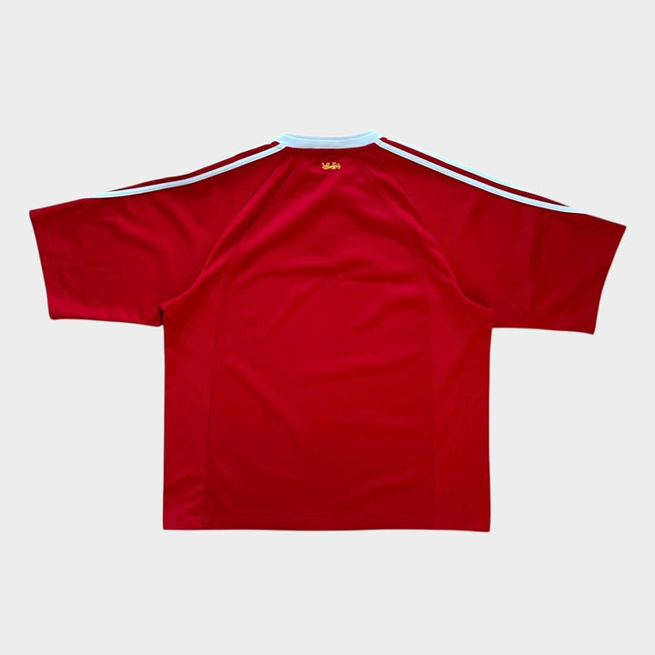 Футболка для регби Vintage Lions - XL