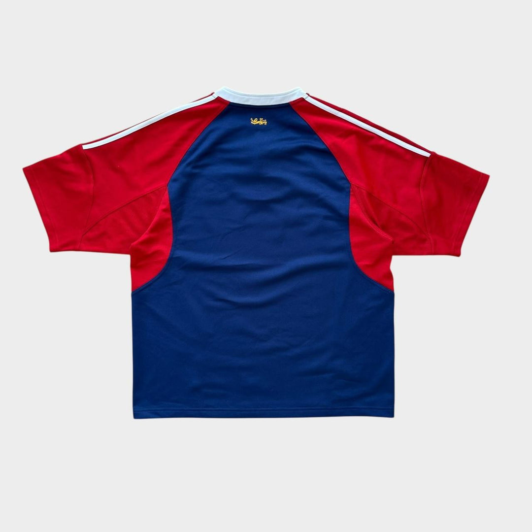 Футболка для регби Vintage Lions - большая