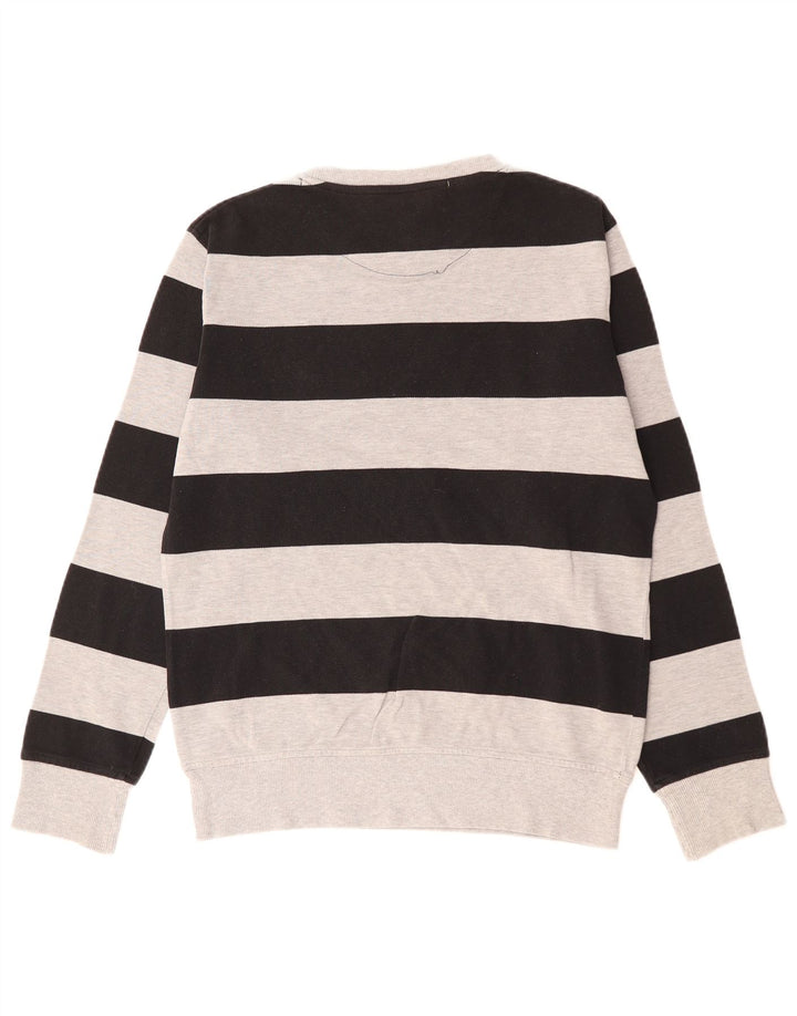 Мужской свитшот SERGIO TACCHINI, маленький серый хлопковый джемпер в полоску