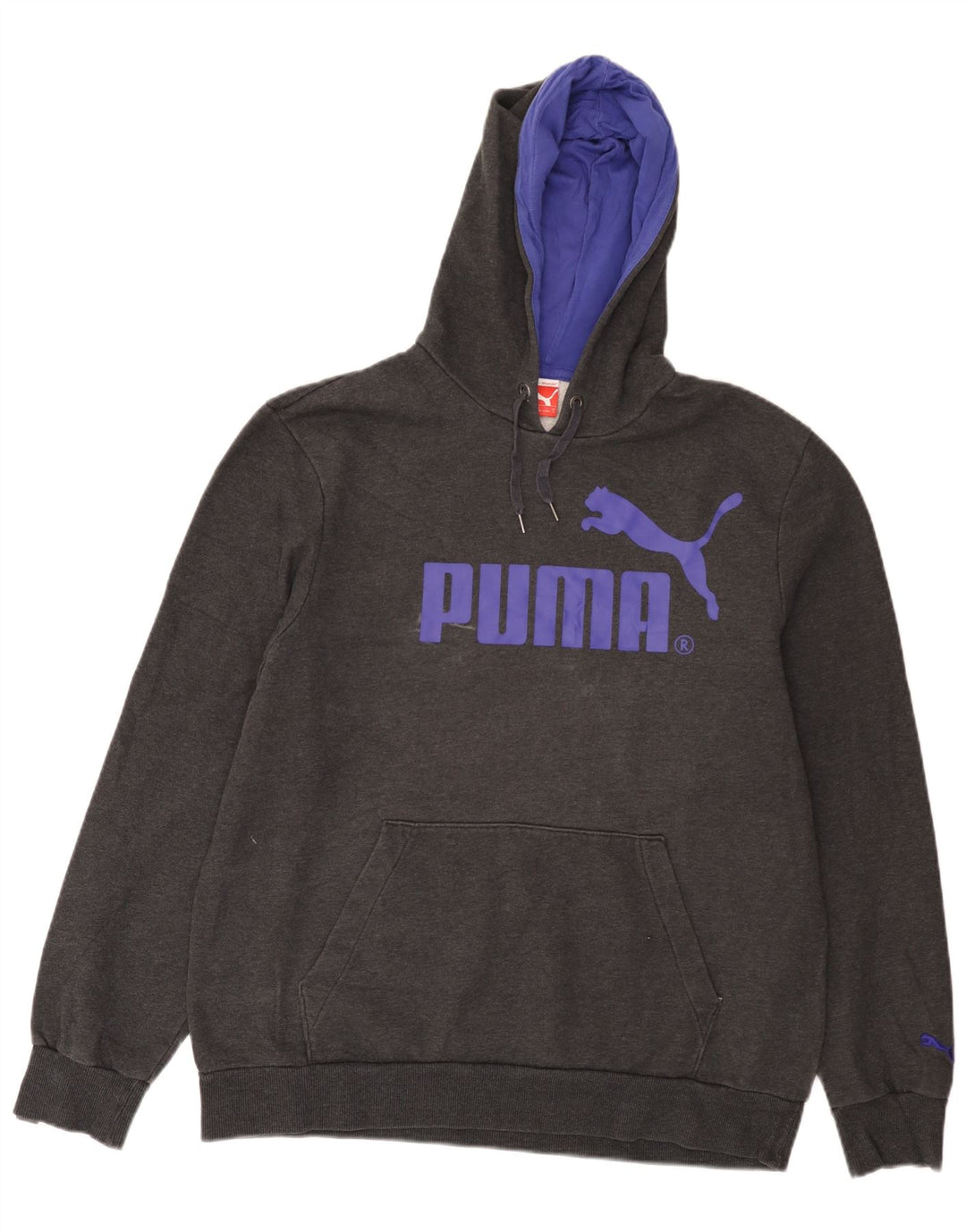 Мужской джемпер с капюшоном с рисунком Puma, большой серый