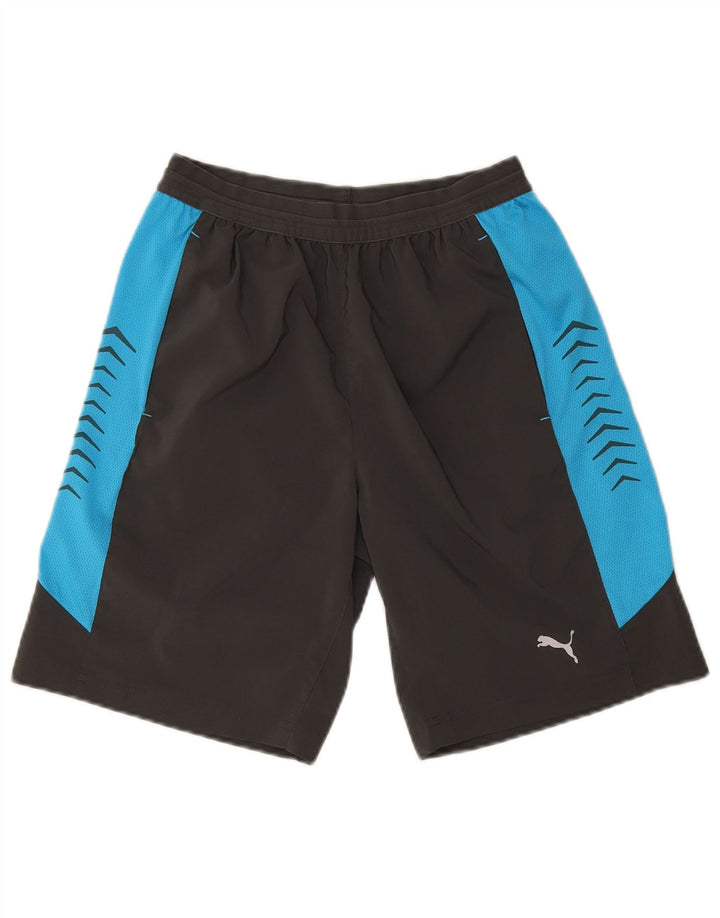 Мужские спортивные шорты с рисунком Puma, маленькие серые, с цветными блоками