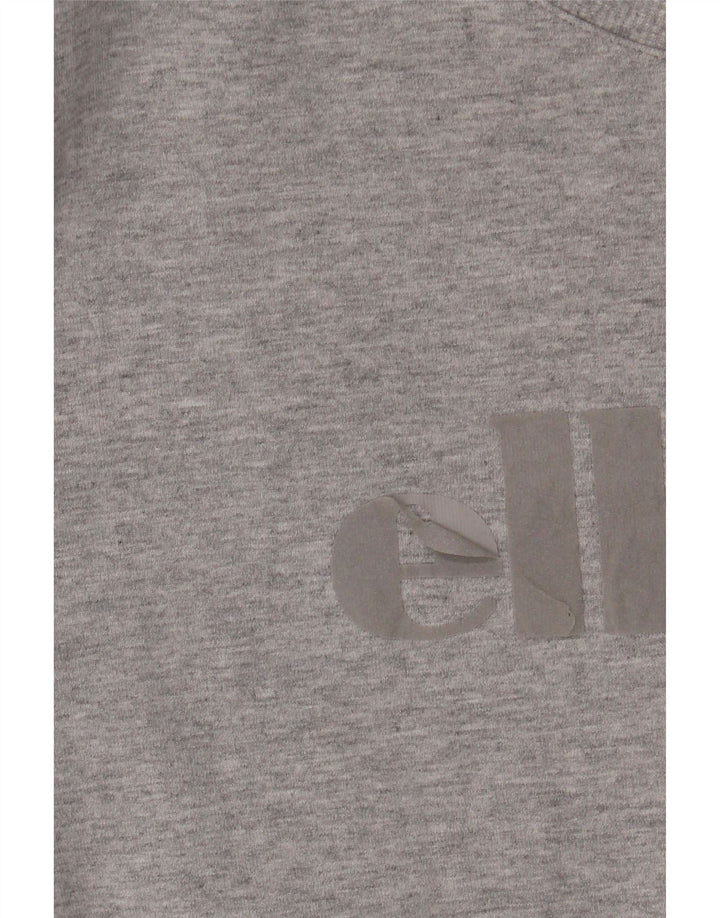 ELLESSE Мужской свитшот с рисунком, хлопковый джемпер среднего серого цвета