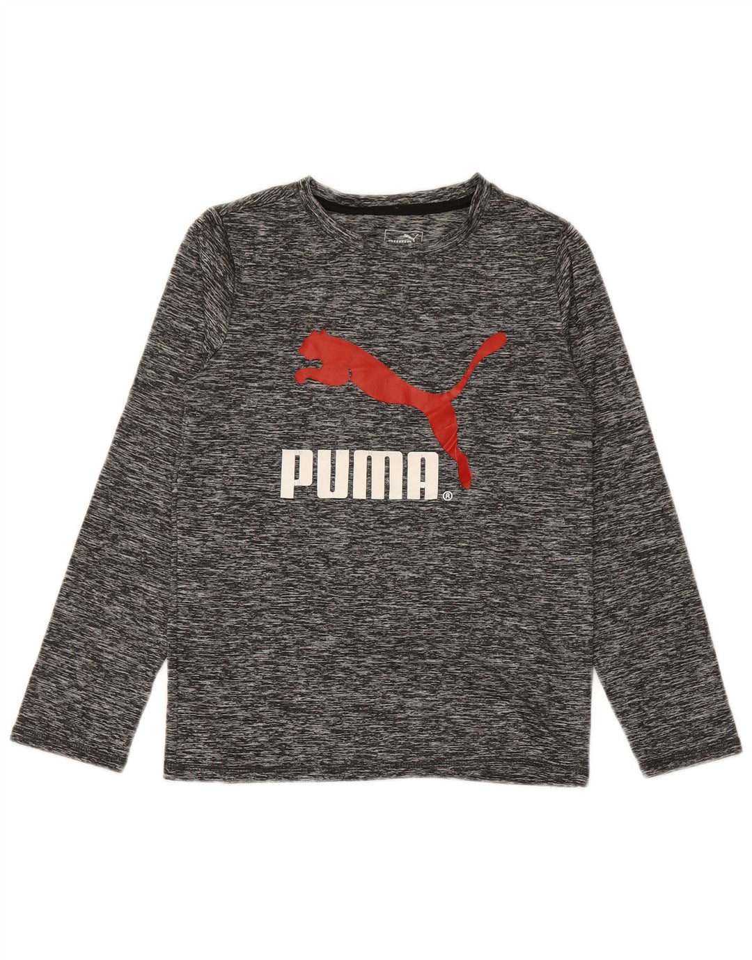 Топ с рисунком PUMA для мальчиков с длинными рукавами, 8–9 лет, маленький размер, серый полиэстер