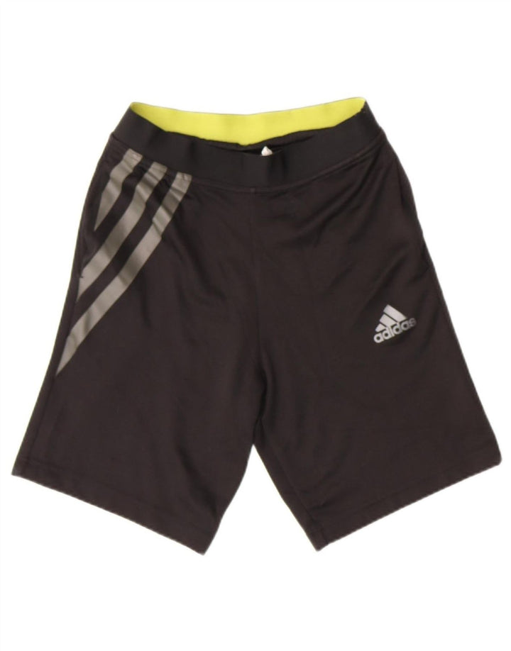 ADIDAS Boys Climalite Sport Shorts 13-14 Years  Black Polyester