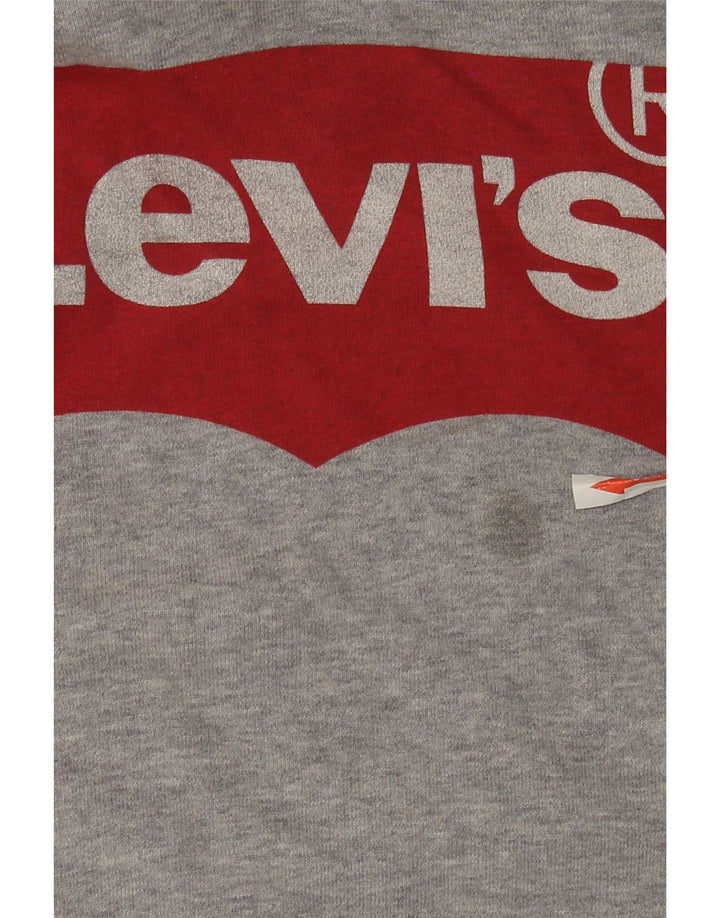 Мужской джемпер с капюшоном Levi's с рисунком, средний серый хлопок с крапинками