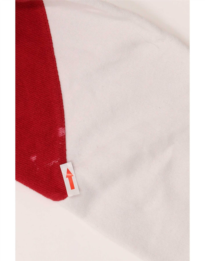 Мужской свитшот Champion, джемпер среднего размера, белый, хлопок с цветными блоками
