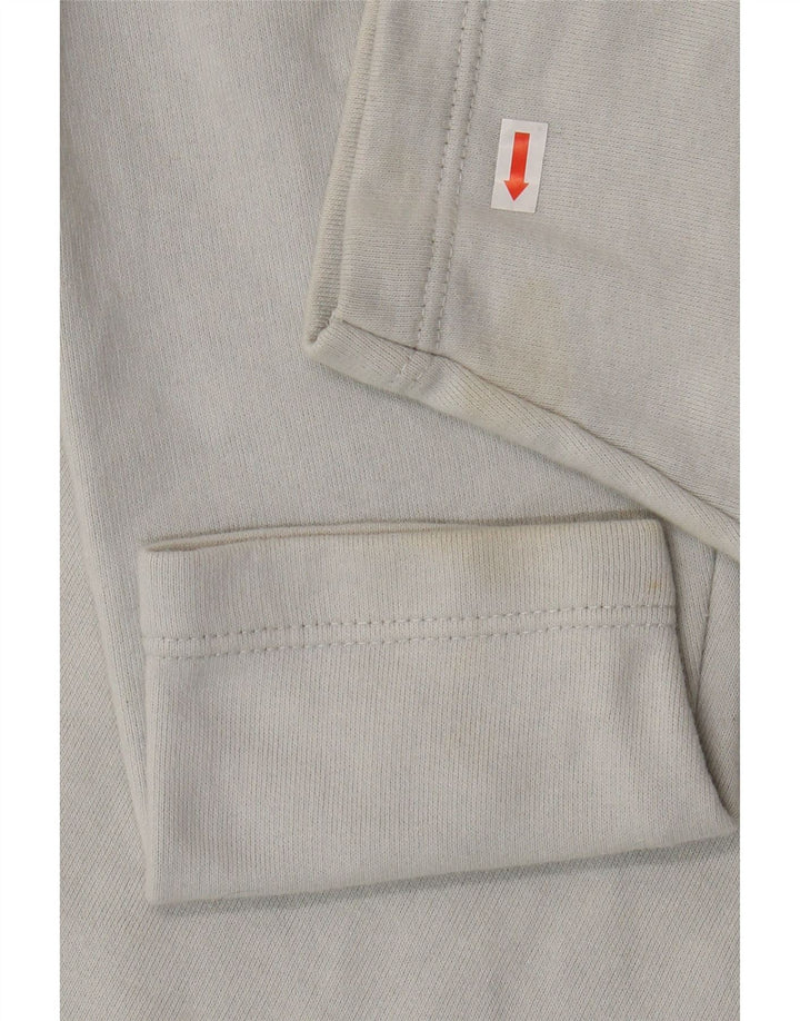 Мужской свитшот Champion, хлопковый джемпер среднего серого цвета