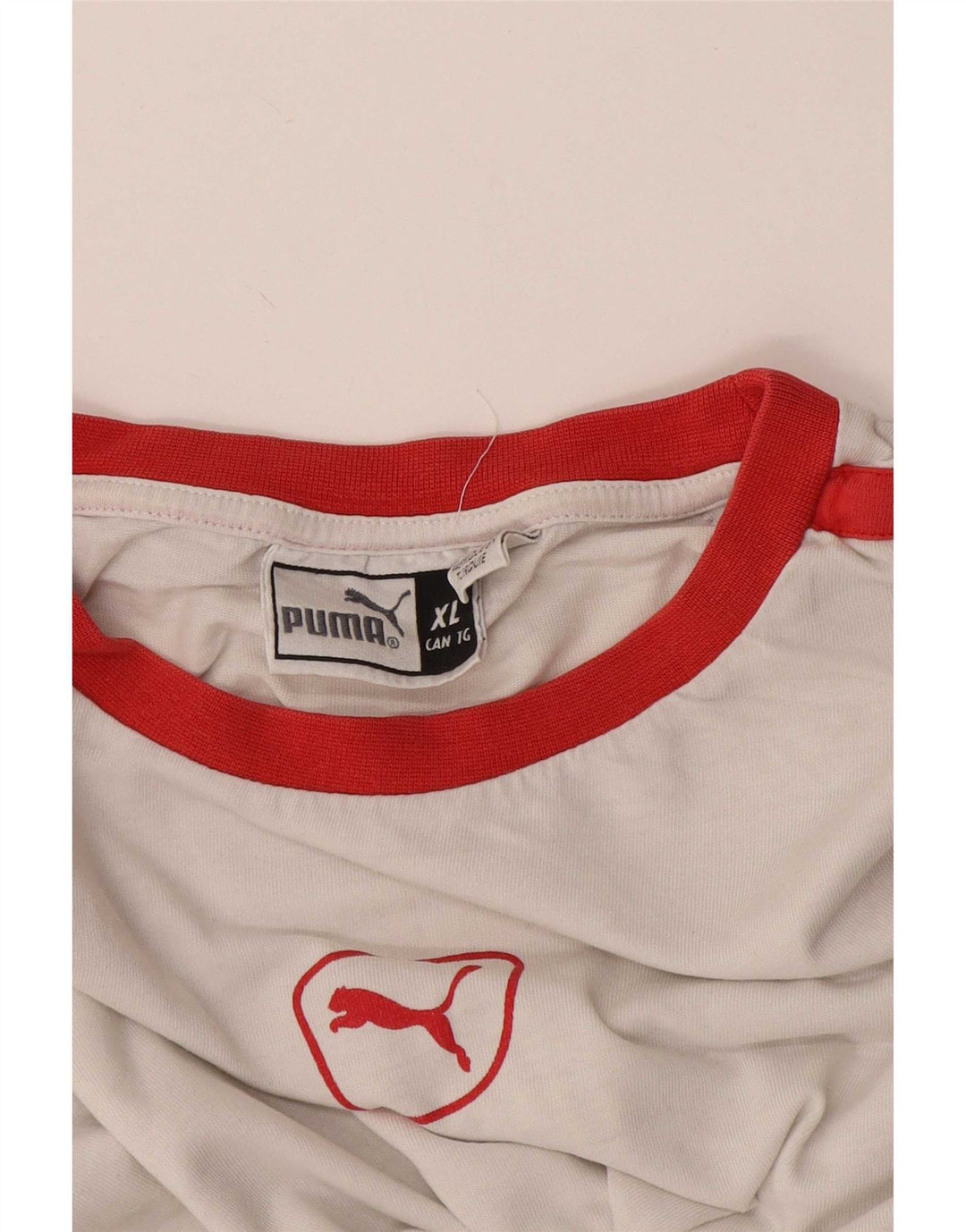 Мужская футболка Puma Top XL белая с цветными блоками