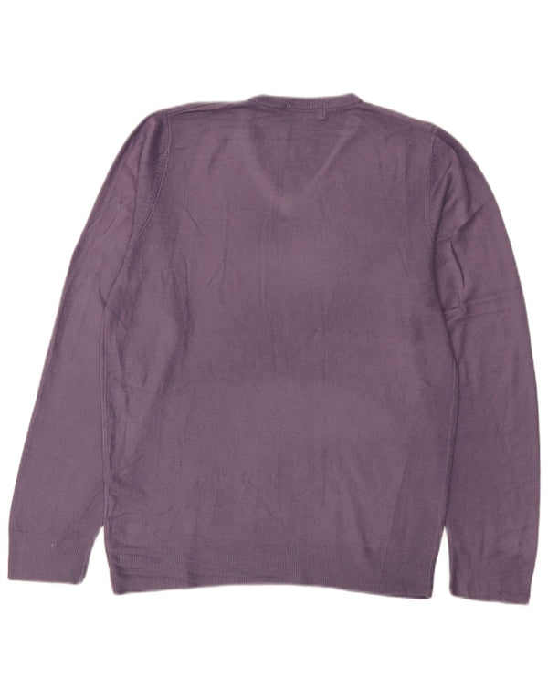 Мужской джемпер с v-образным вырезом Marks & Spencer Blue Harbour, маленький фиолетовый