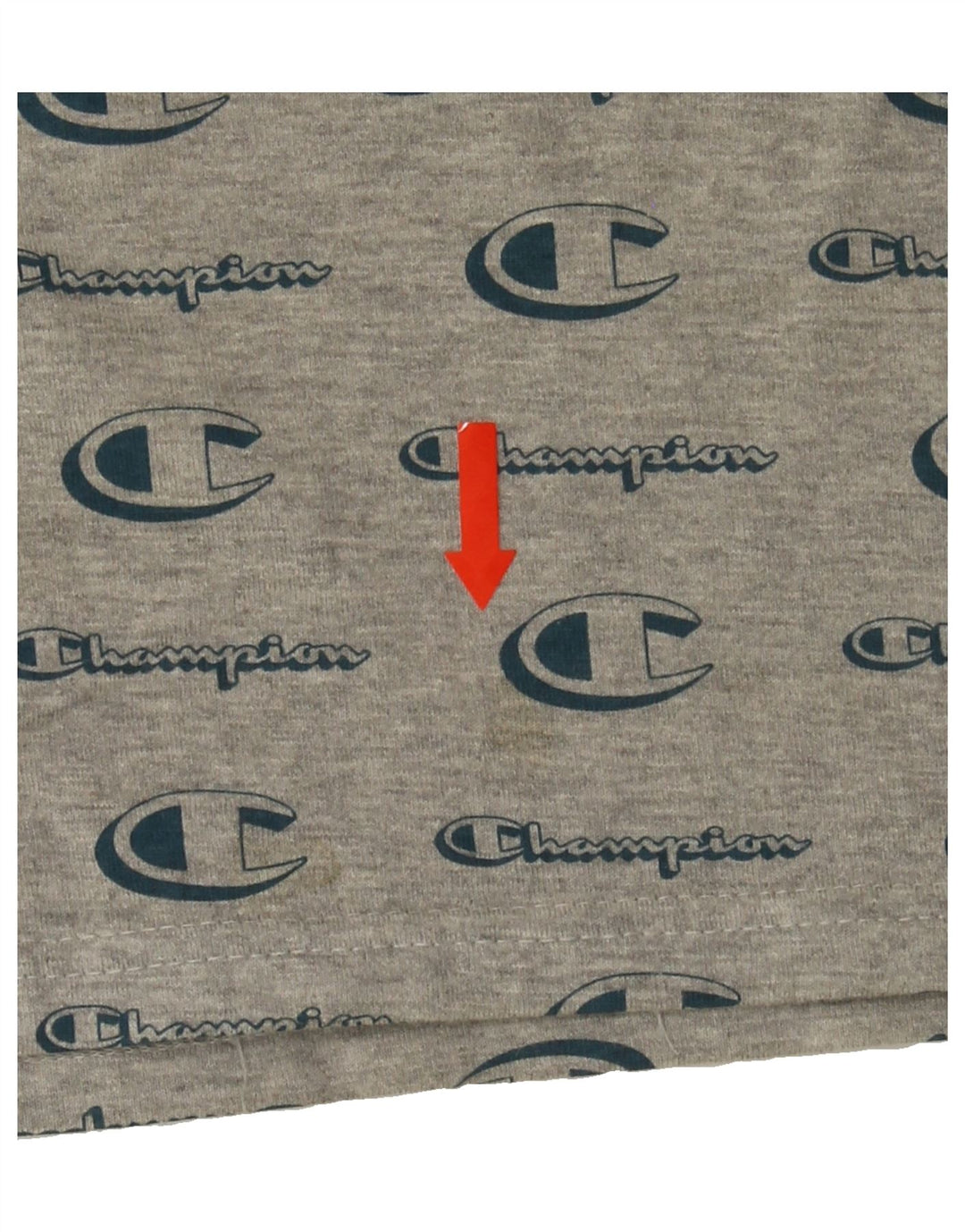 CHAMPION Mens Graphic T-Shirt Top Small Grey Cotton Vintage Champion and Second-Hand Champion from Messina Hembry 