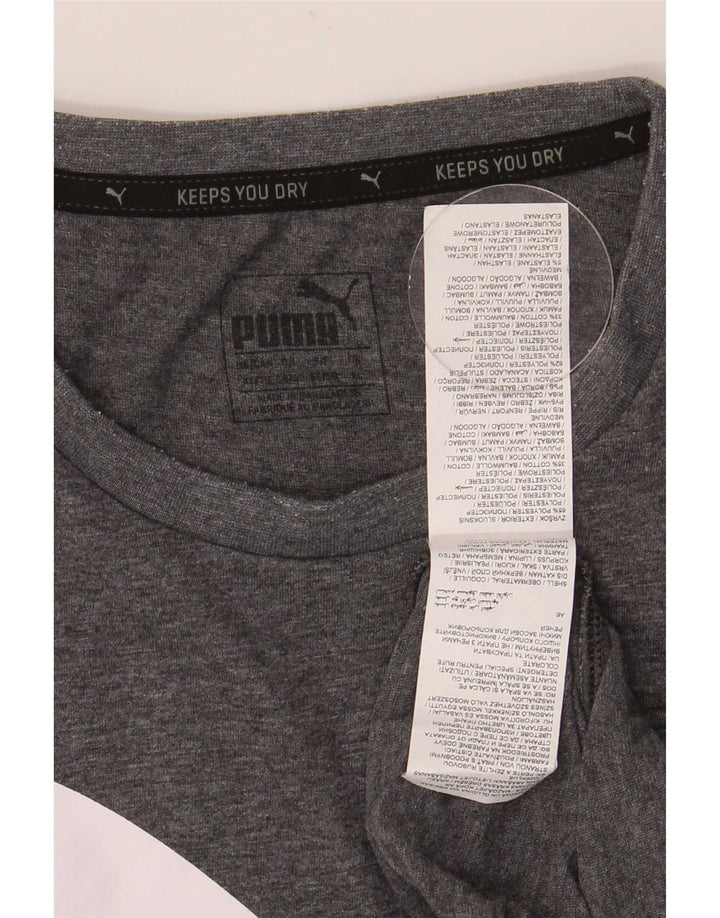 Мужская футболка с рисунком Puma Top XL, серый полиэстер