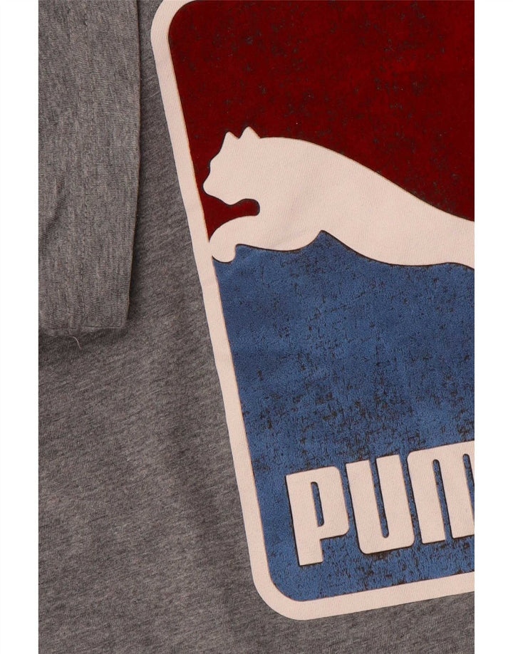 Мужская футболка с рисунком Puma, большая, серая
