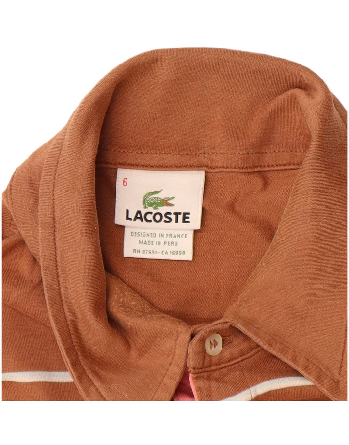 Мужская рубашка-поло Lacoste, размер 6 XL, хлопковая коричневая полоска