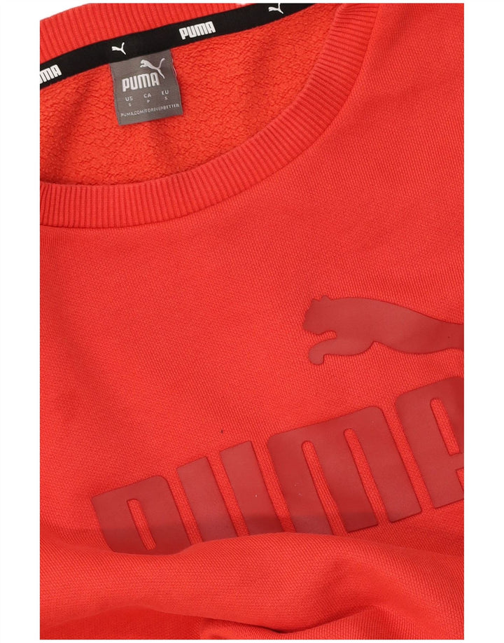 Мужской свитшот с рисунком Puma, маленький красный