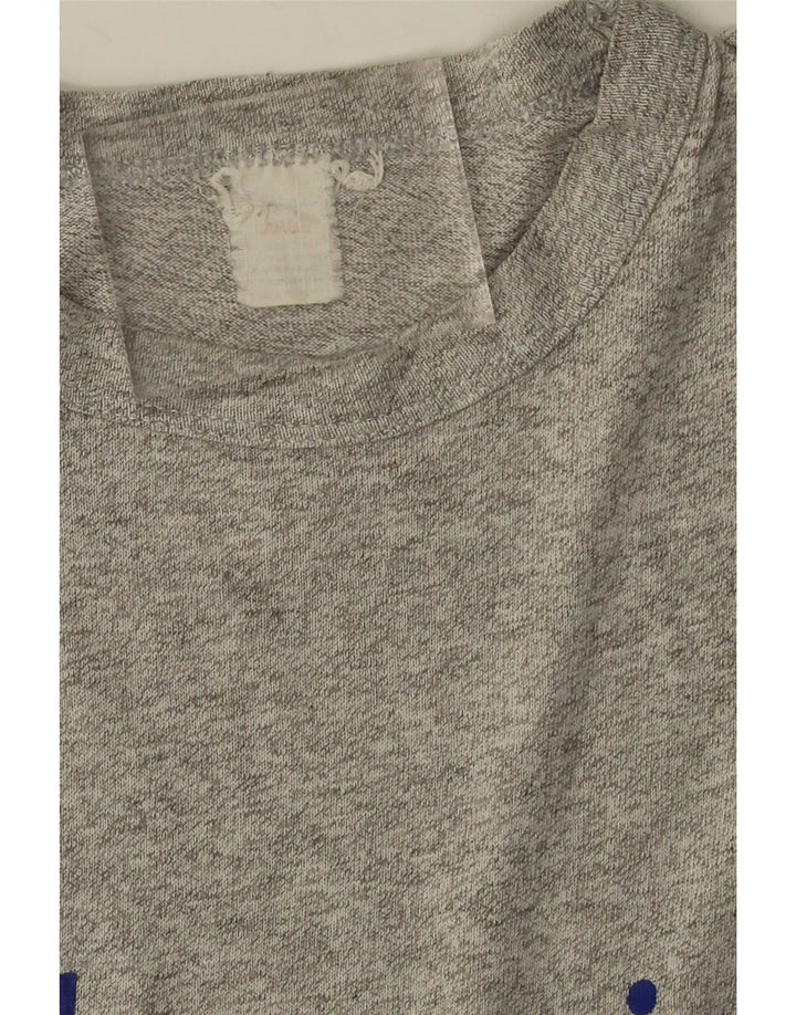 Мужская футболка с рисунком Champion, большая серая в крапинку