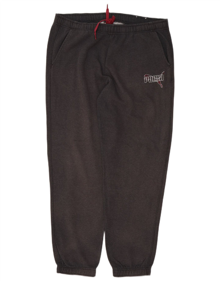 Мужские спортивные брюки PUMA Joggers XL Серые