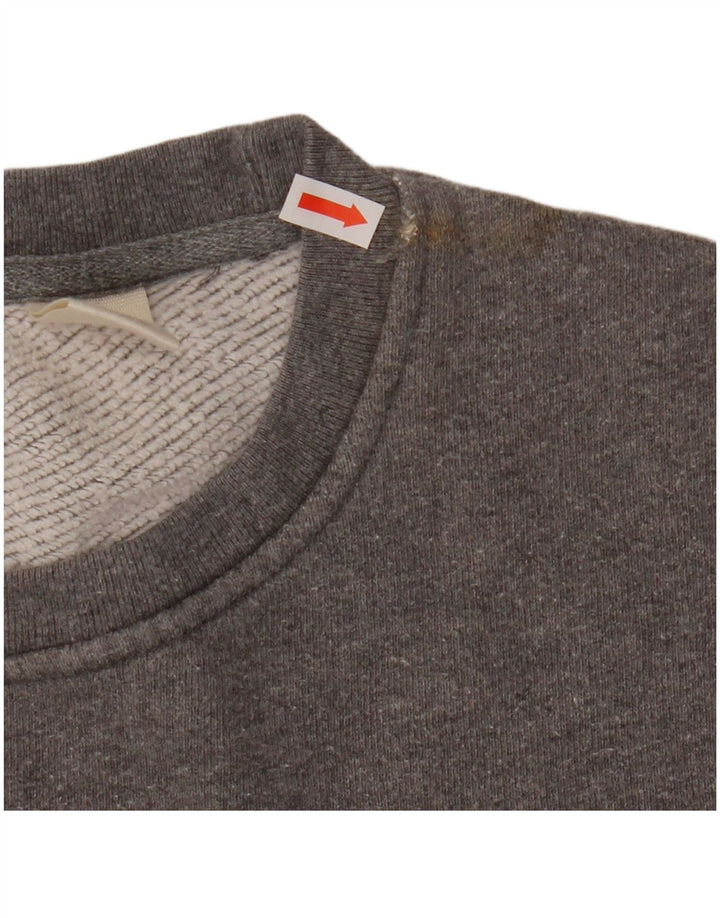 Мужской свитшот с рисунком Levi's, XL, серый хлопок