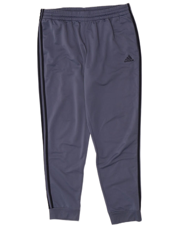 Мужские спортивные брюки Adidas Joggers XL синие из полиэстера