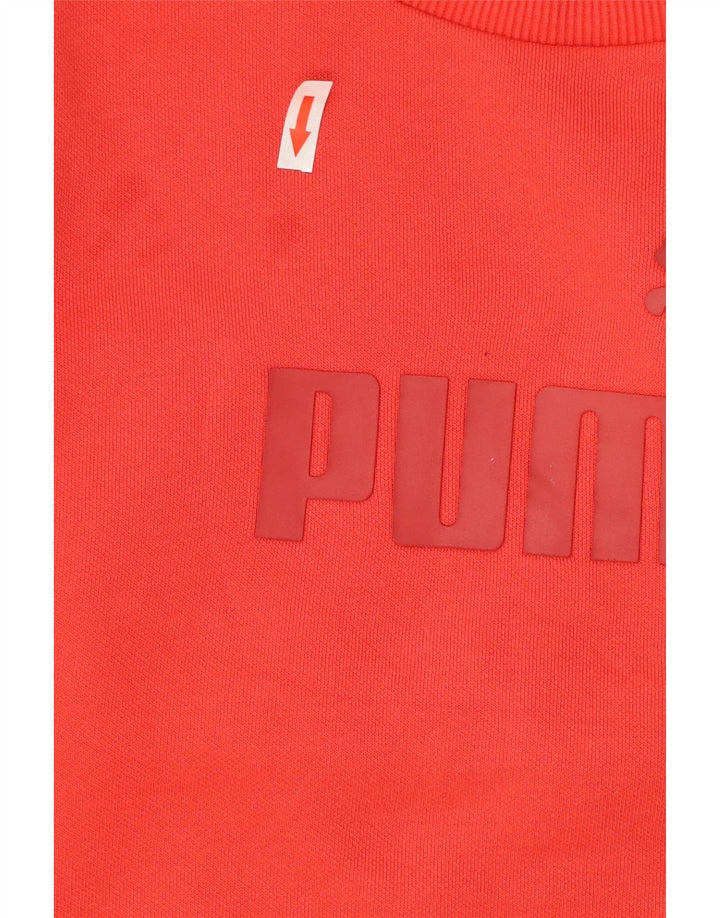 Мужской свитшот с рисунком Puma, маленький красный