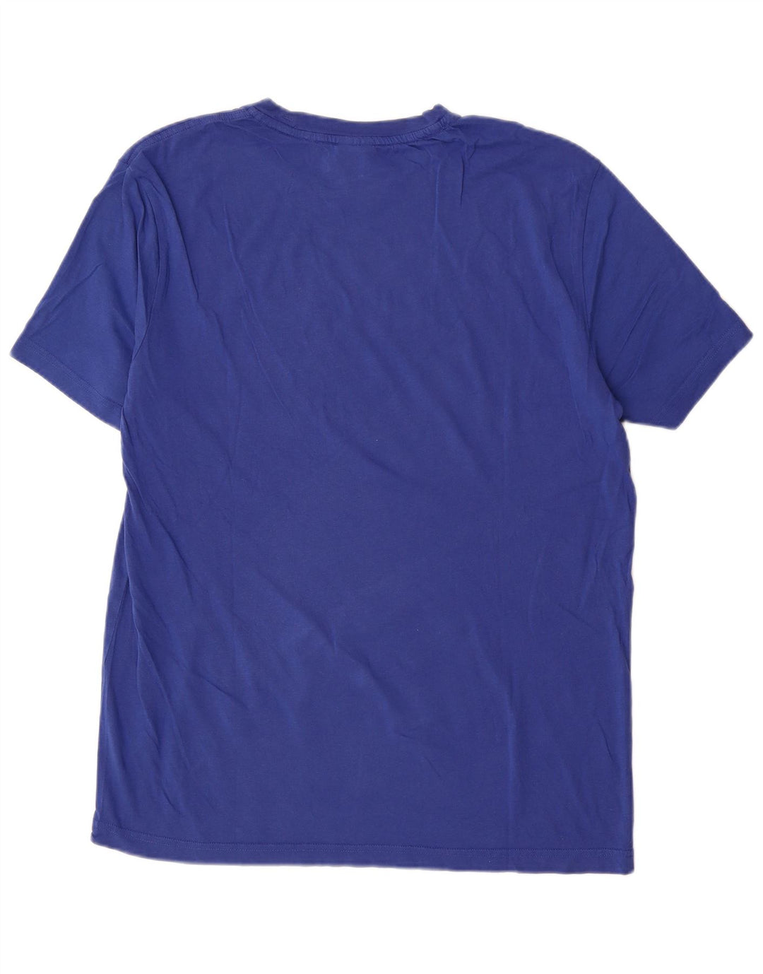 Мужская футболка с рисунком Champion Top XL, синяя