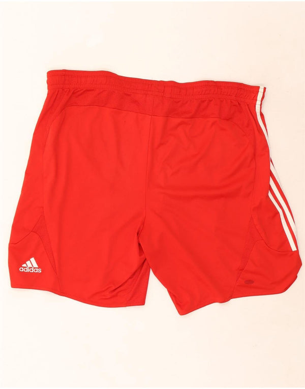 Мужские спортивные шорты Adidas Hamburg SV 2XL, красный полиэстер