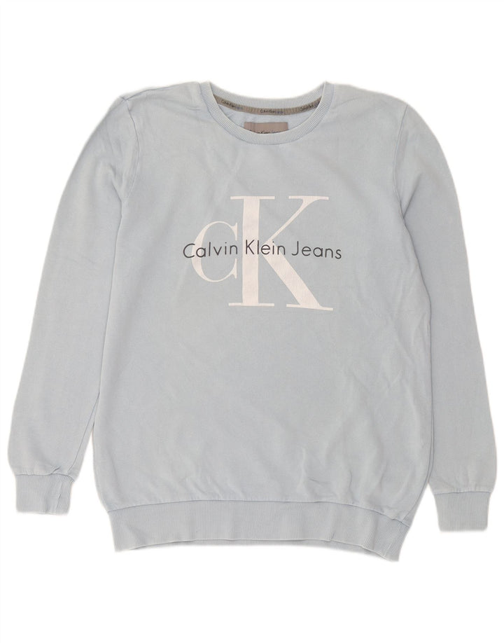 Мужской свитшот с рисунком Calvin Klein Jeans, маленький синий хлопковый джемпер