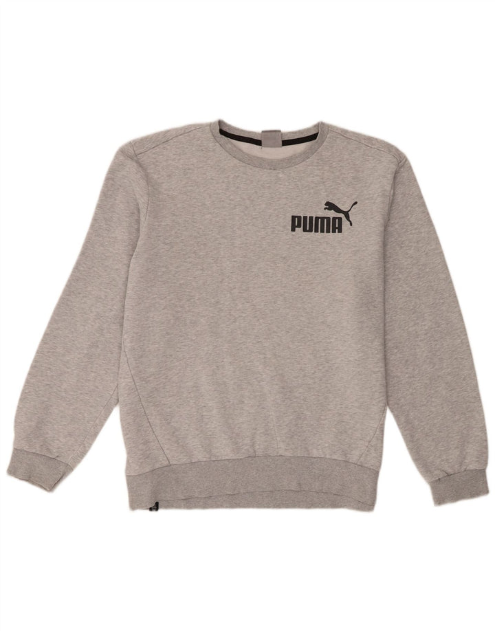 Мужской свитшот Puma, большой серый