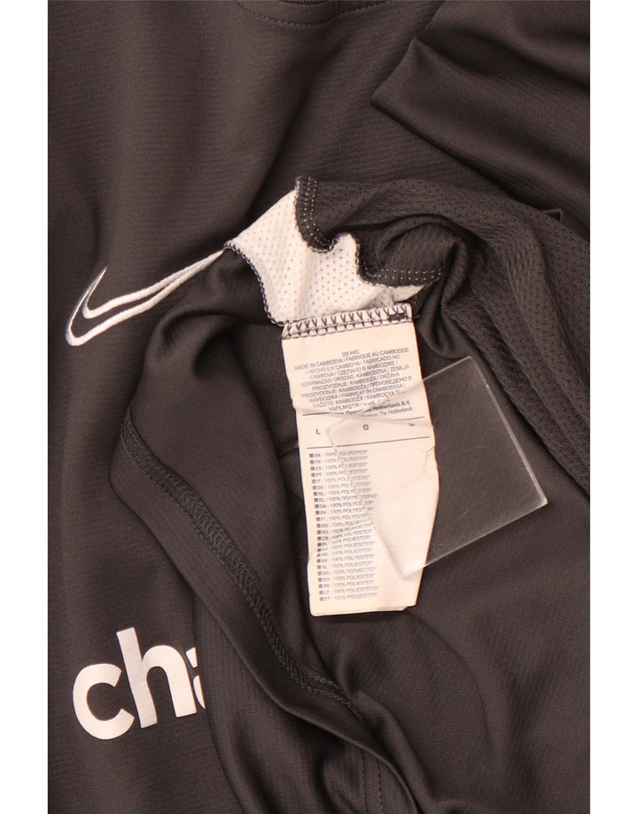 Мужская футболка с рисунком NIKE, большой серый полиэстер с цветными блоками