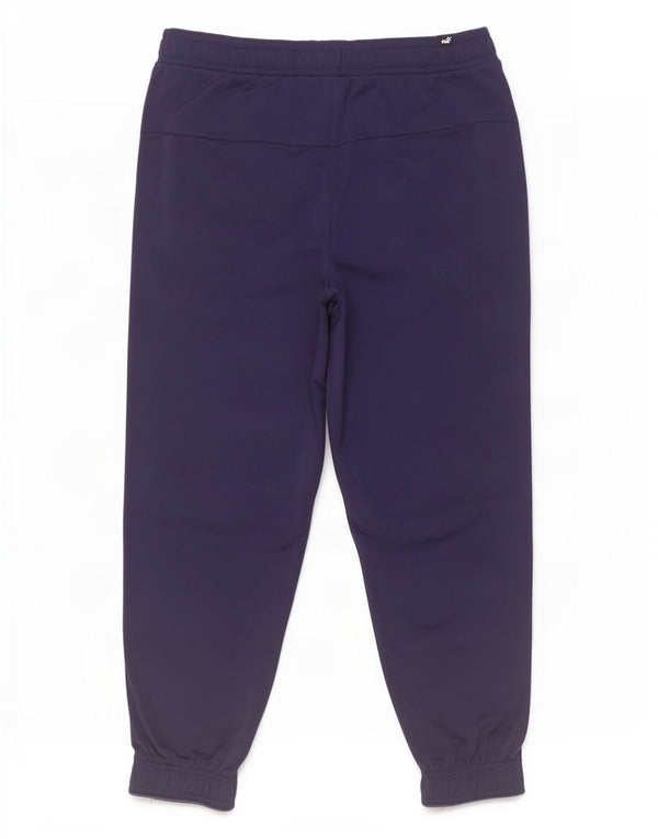 Мужские спортивные брюки Puma Joggers XL темно-синие из полиэстера