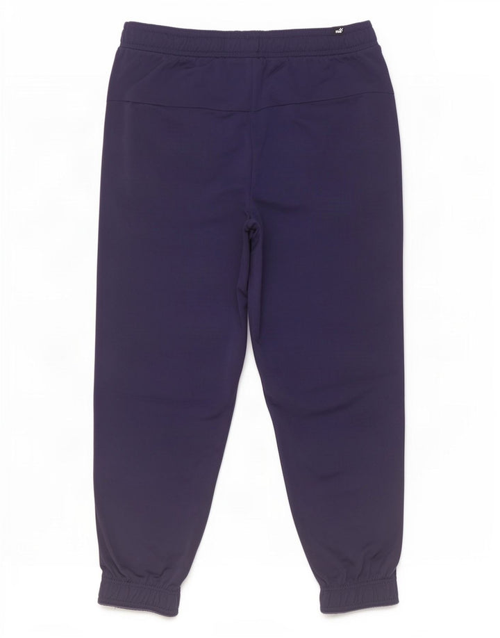 Мужские спортивные брюки Puma Joggers XL темно-синие из полиэстера