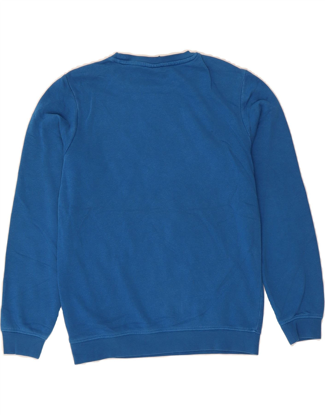 CHAMPION Boys Graphic Sweatshirt Jumper 11-12 Years Large  Blue Vintage Champion and Second-Hand Champion from Messina Hembry 