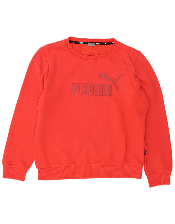 Мужской свитшот с рисунком Puma, маленький красный