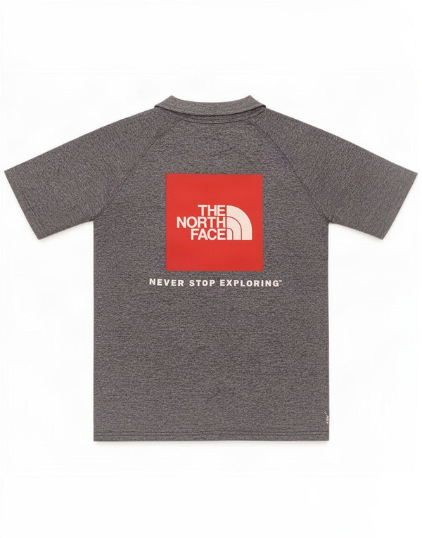 Футболка с рисунком The North Face для мальчиков, 12–13 лет, большая, серая