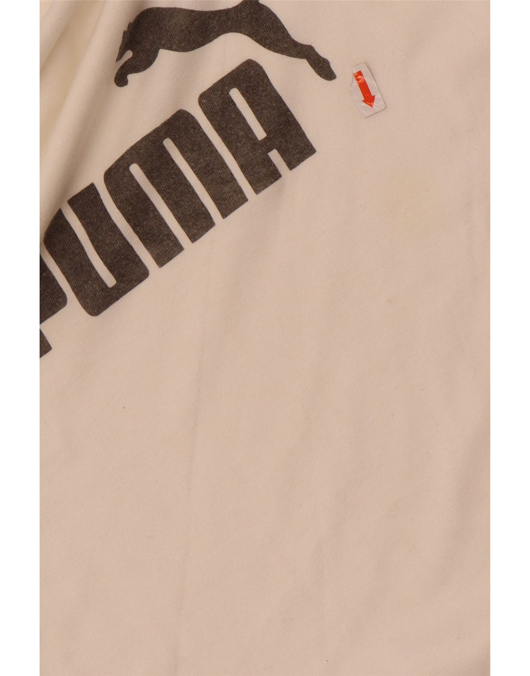 Мужской топ с рисунком Puma с длинным рукавом, маленький белый