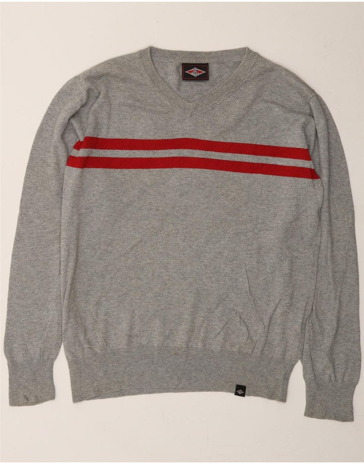 BEAR Mens V-Neck Jumper Sweater Large Grey Striped Cotton Vintage Bear and Second-Hand Bear from Messina Hembry 