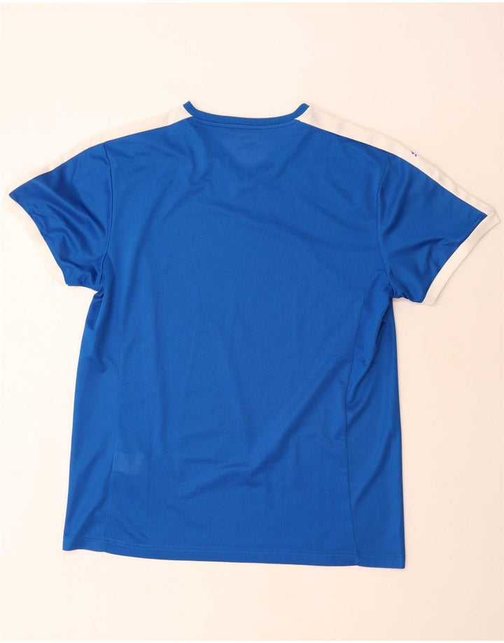Мужская футболка Puma Top XL, синяя, полиэстер с цветными блоками