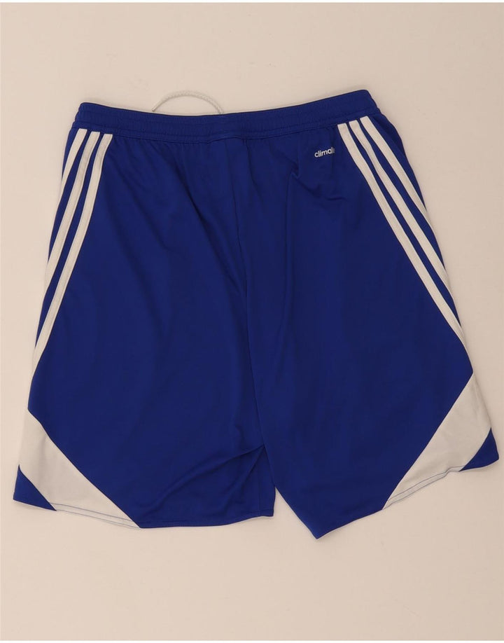 Мужские спортивные шорты Adidas Climalite, средний синий, полиэстер с цветными блоками