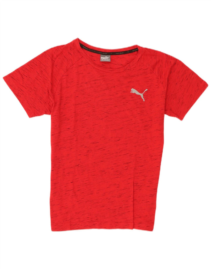 Мужская футболка Puma, маленький красный хлопок с крапинками