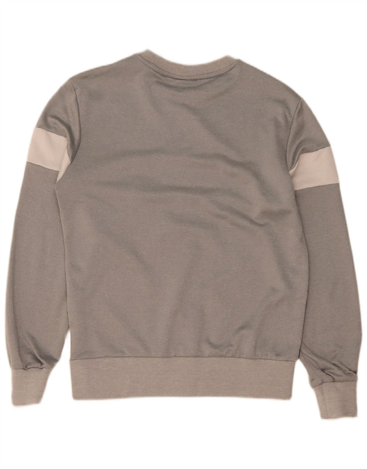 Ellesse Мужской свитшот с графическим рисунком, средний серый полиэстер с цветными блоками