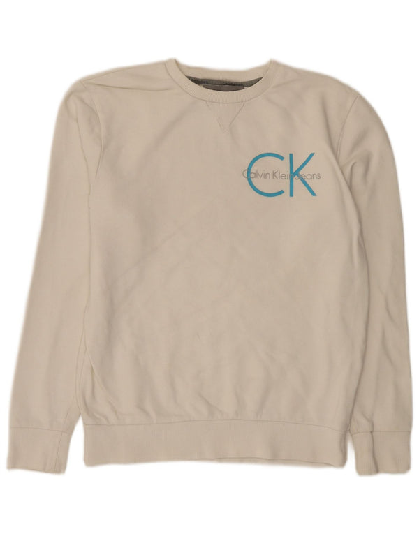 Мужской свитшот с рисунком Calvin Klein Jeans, маленький белый хлопковый джемпер