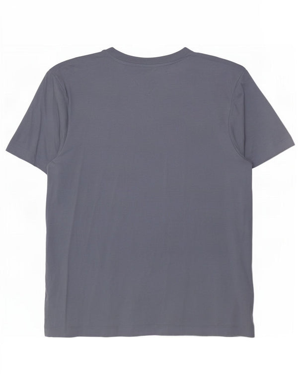 Мужская футболка с рисунком Tommy Hilfiger 2XL, синяя, хлопок