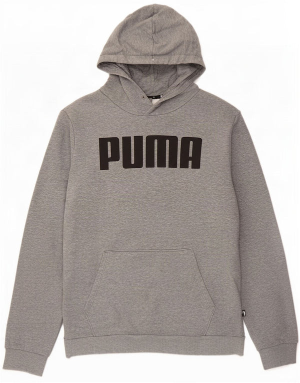 Мужской джемпер с капюшоном Puma серого цвета, хлопок